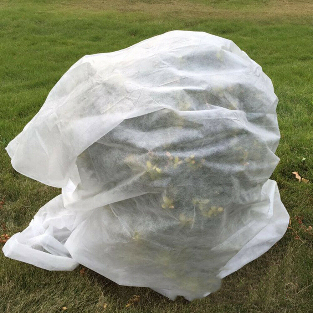 Non Woven Plant cover